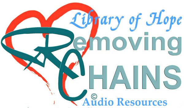 RC Audio Library